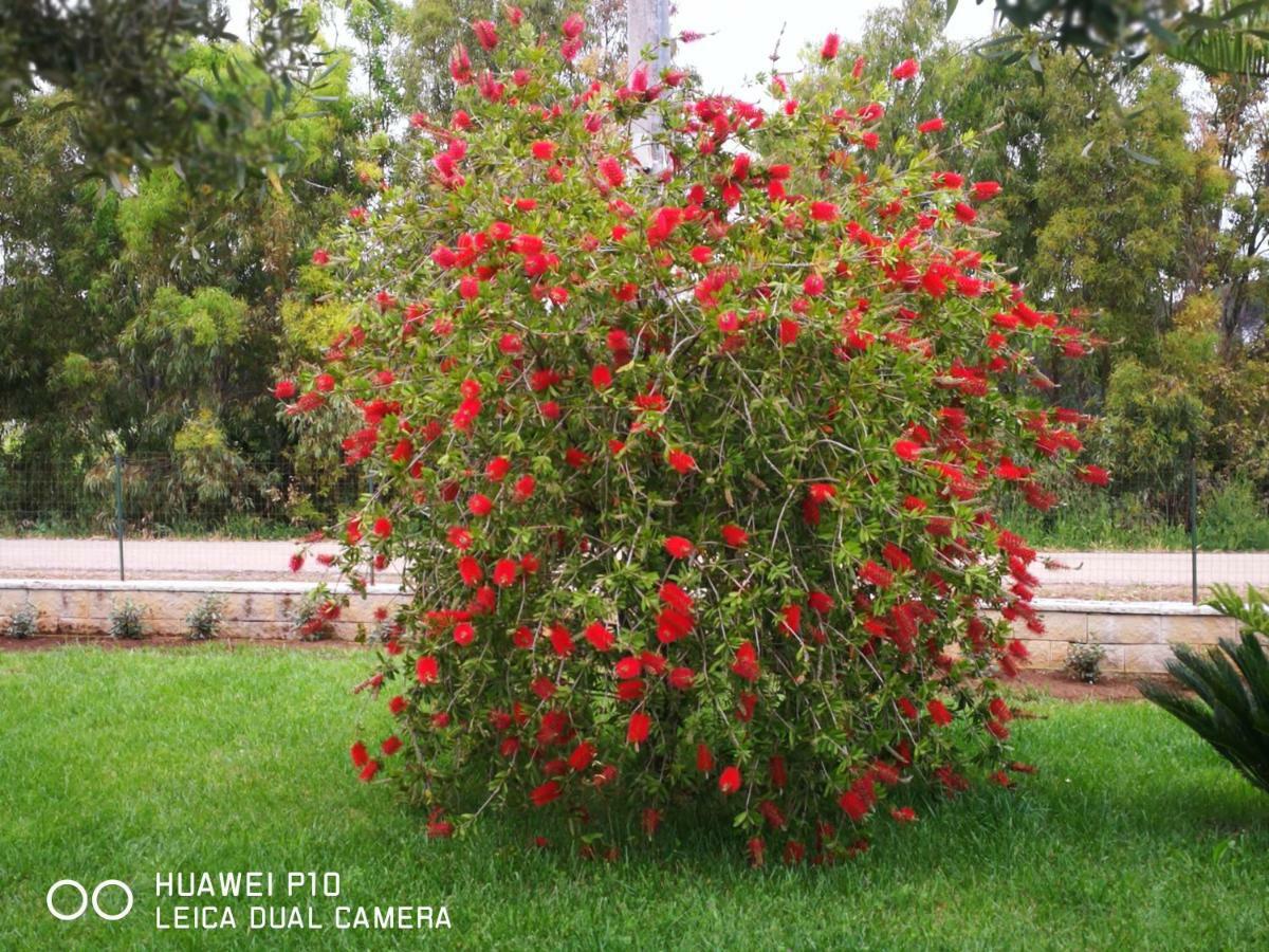 B&B Fiori Di Pesco เฟอร์ติเลีย ภายนอก รูปภาพ